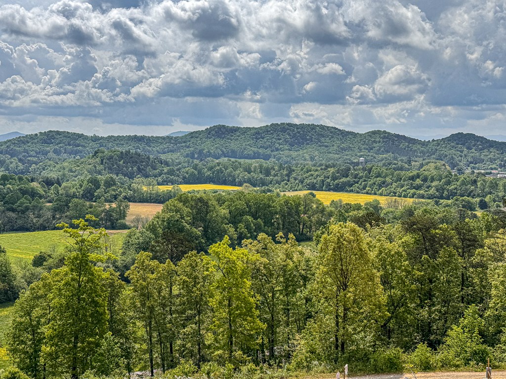 134 Mistletoe Ridge, MURPHY, North Carolina image 11