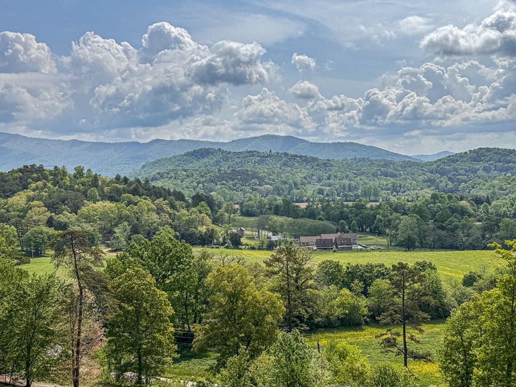 134 Mistletoe Ridge, MURPHY, North Carolina image 10