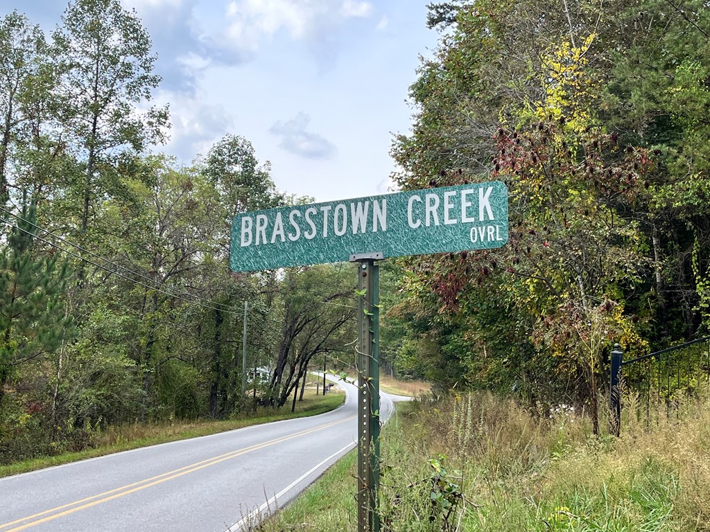 00 Brasstown Creek Ridge #7, BRASSTOWN, North Carolina image 4