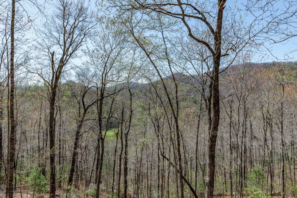 425 Running Deer Lane, MURPHY, North Carolina image 35