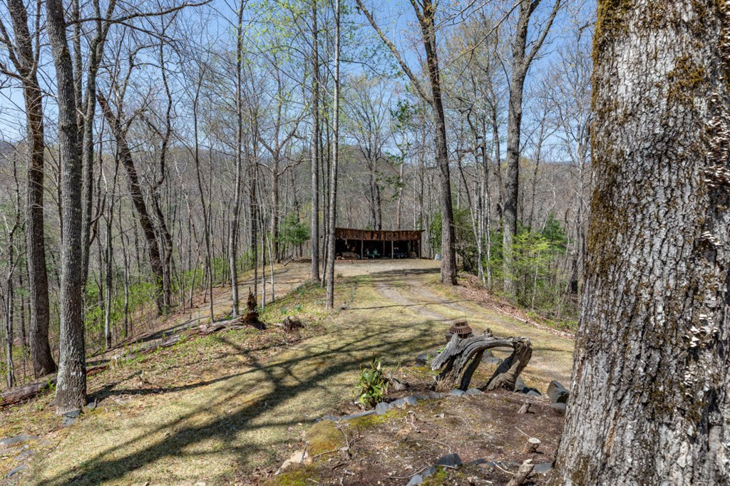 425 Running Deer Lane, MURPHY, North Carolina image 32