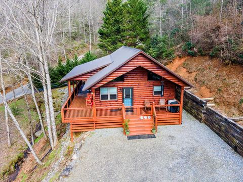 Homes For Sale - 262 Zekes Trail<br/> MARBLE, NC 28905