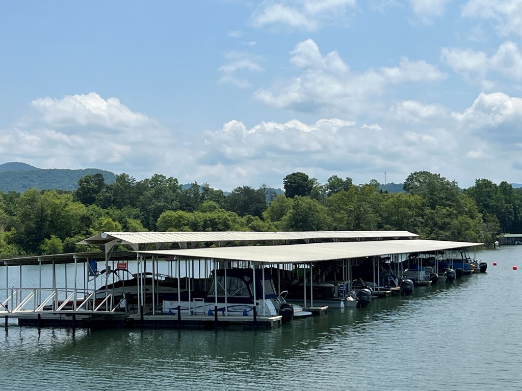 Lots Nantahala Bay #T1,T2, HIAWASSEE, Georgia image 28