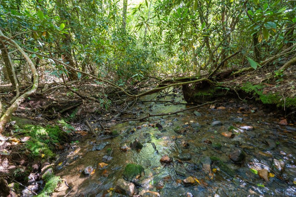 Photo 1 of 35 — 26.98 Ac Tusquittee Unit TR 2, HAYESVILLE, NC 28904