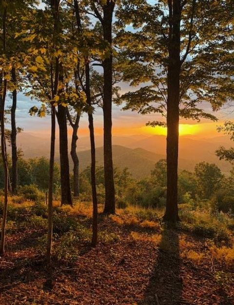 Vacant Land For Sale - L-16&17 Summit Drive #16/17<br/> HAYESVILLE, NC 28904