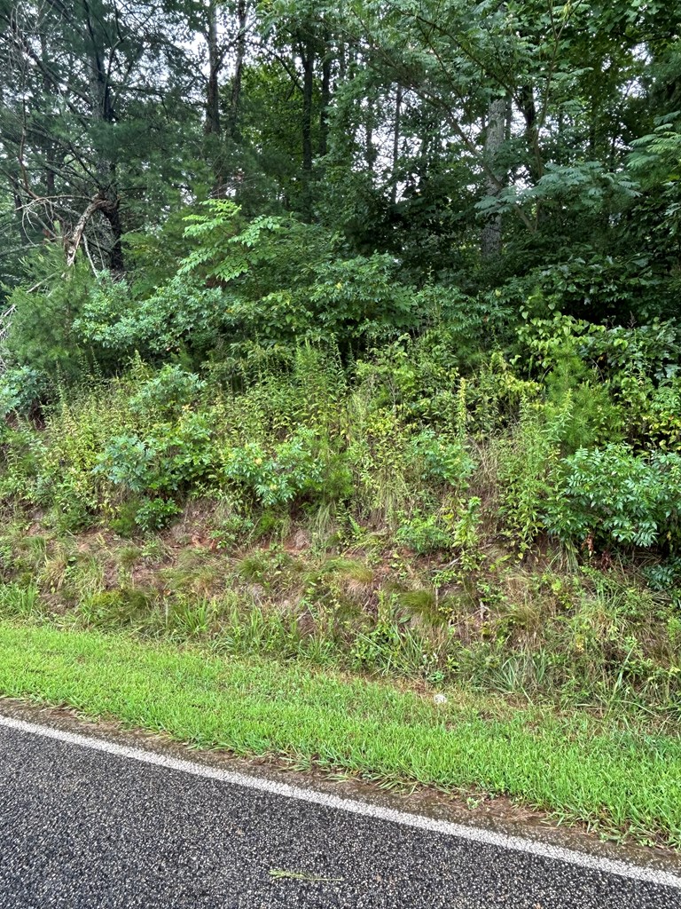 Chimney Top Trail #5, MURPHY, North Carolina image 3