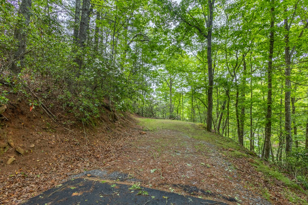Lot 38 Harris Ridge Road #38, MURPHY, New York image 5