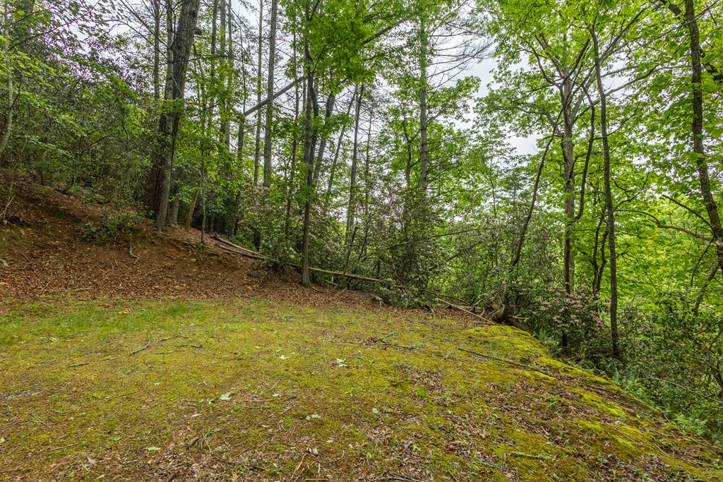 Lot 38 Harris Ridge Road #38, MURPHY, New York image 7