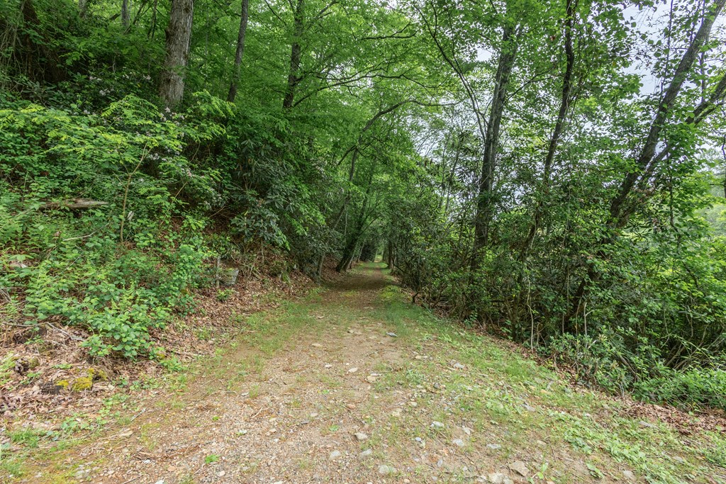 Lot 38 Harris Ridge Road #38, MURPHY, New York image 10