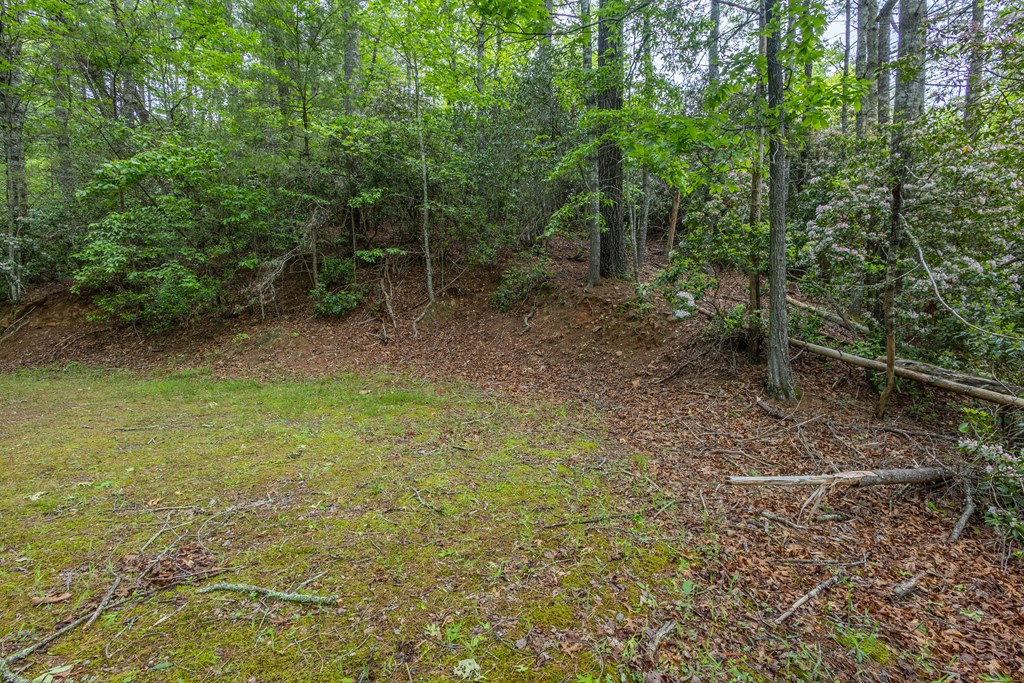 Lot 38 Harris Ridge Road #38, MURPHY, New York image 8