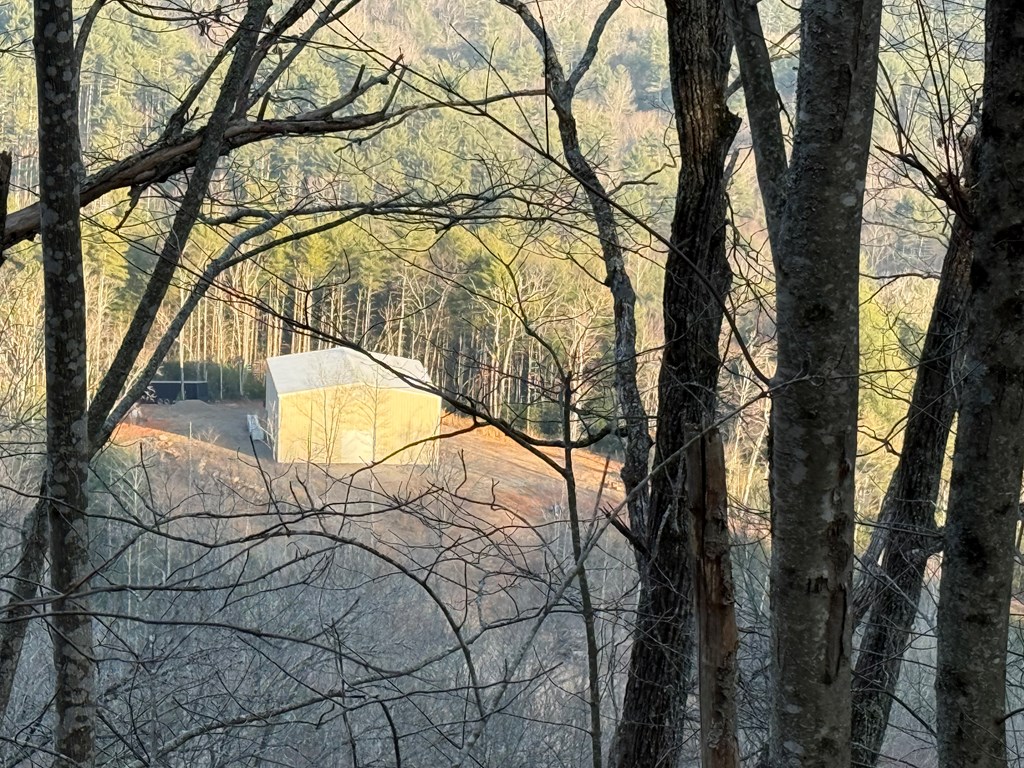 3530 Grape Creek Road, MURPHY, New York image 3