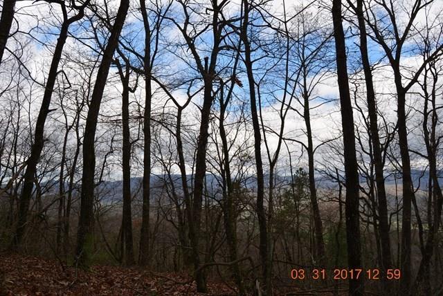 3530 Grape Creek Road, MURPHY, New York image 34