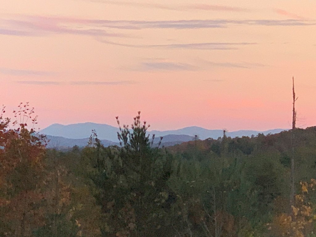 3530 Grape Creek Road, MURPHY, New York image 16