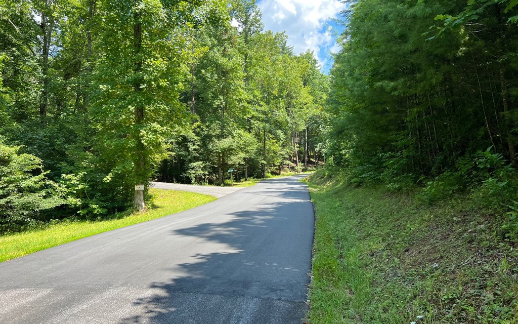 Lot 69 Fires Creek Cove #69, HAYESVILLE, North Carolina image 19