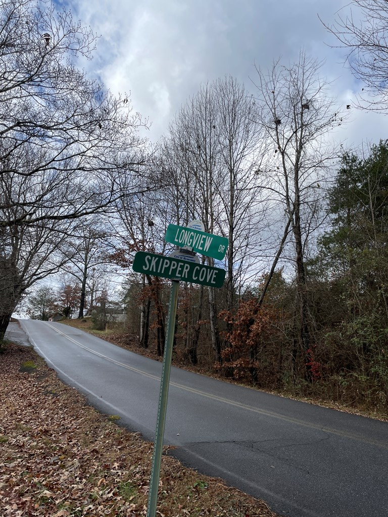 Na E Skipper Lane #118, HIAWASSEE, Texas image 6