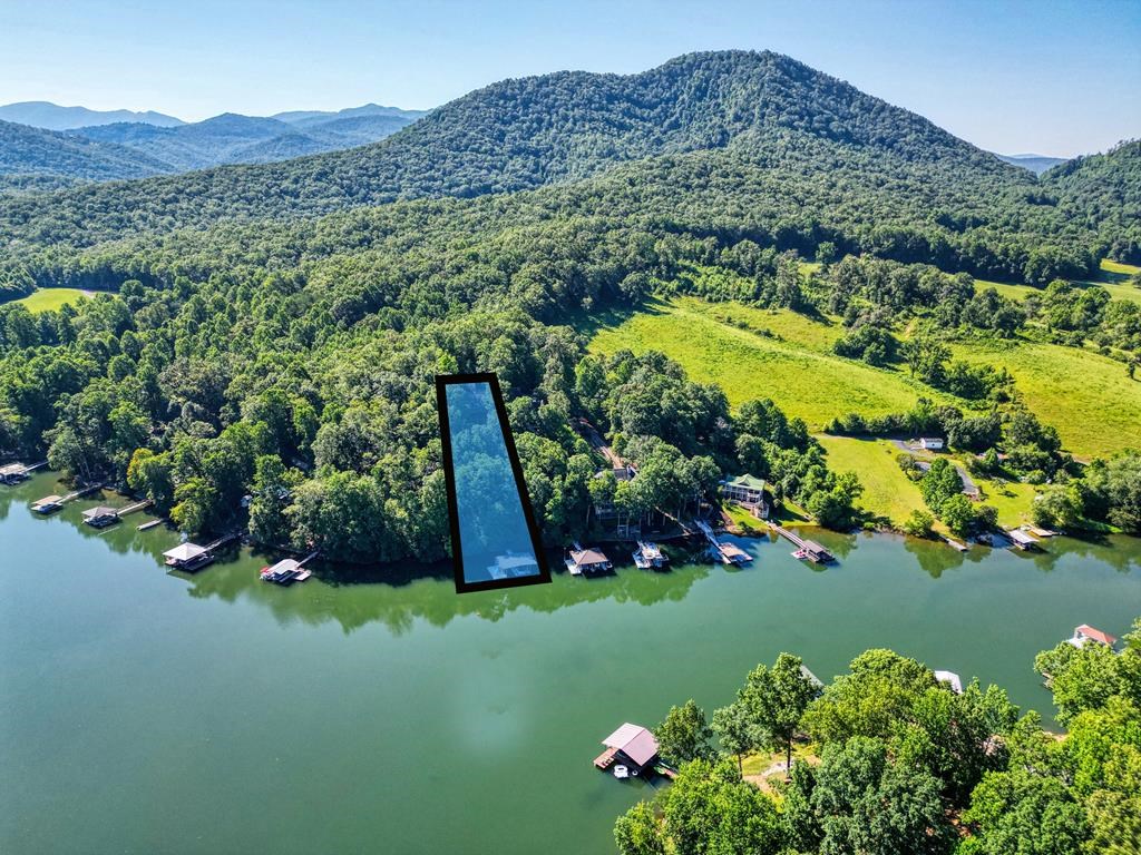 301 Hidden Cove Crossover, HAYESVILLE, North Carolina image 2