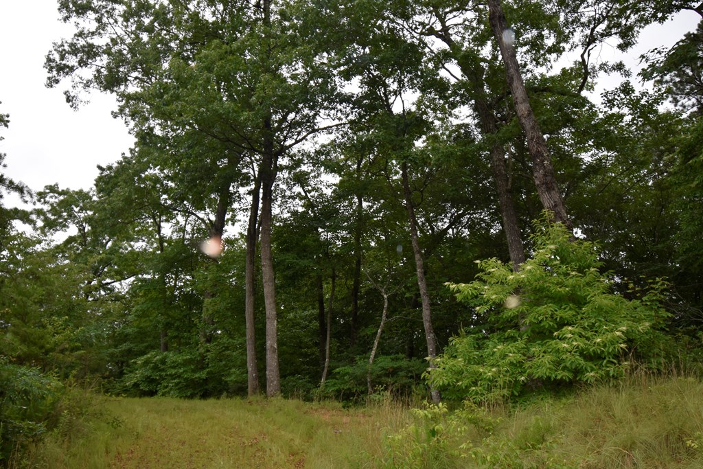 Lot 36 Silo View #36, MARBLE, North Carolina image 3