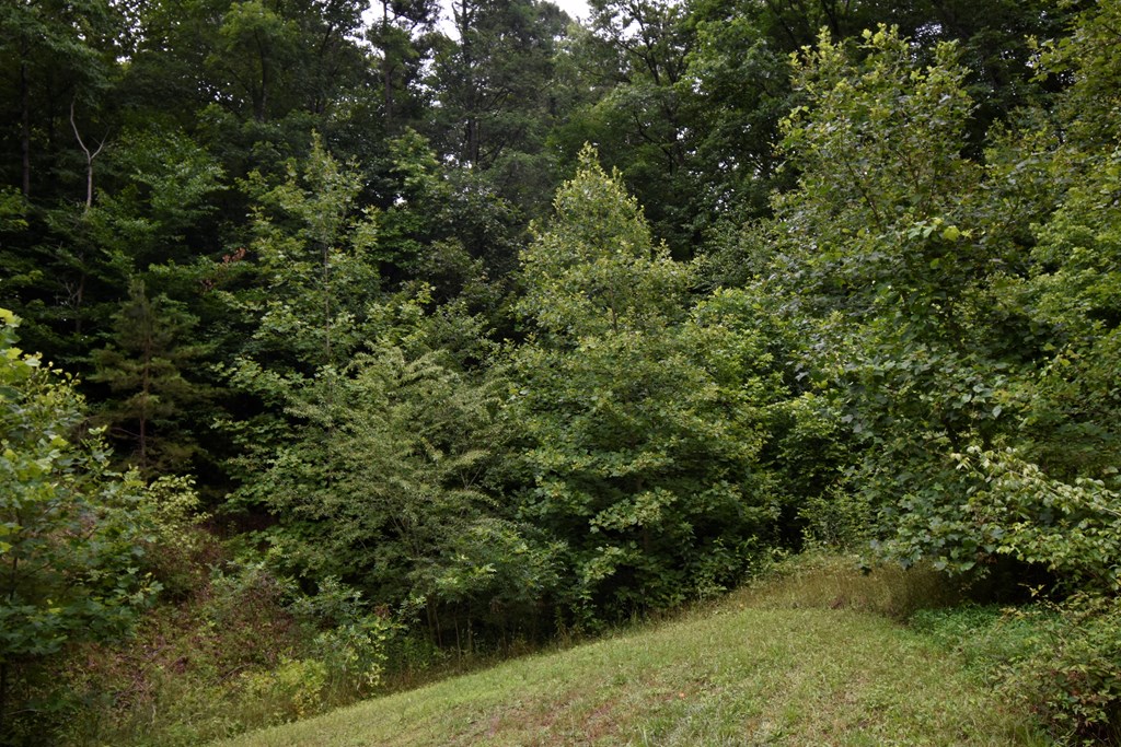 Lot 36 Silo View #36, MARBLE, North Carolina image 5