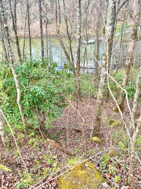 Lakeside Terrace #3, ROBBINSVILLE, North Carolina image 2