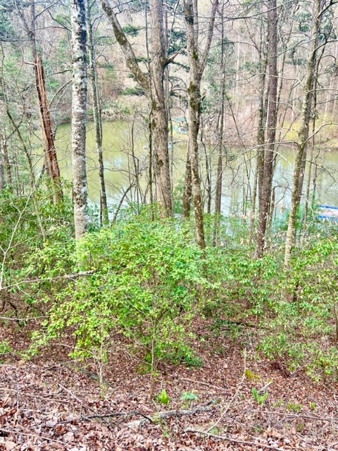 Lakeside Terrace #3, ROBBINSVILLE, North Carolina image 3