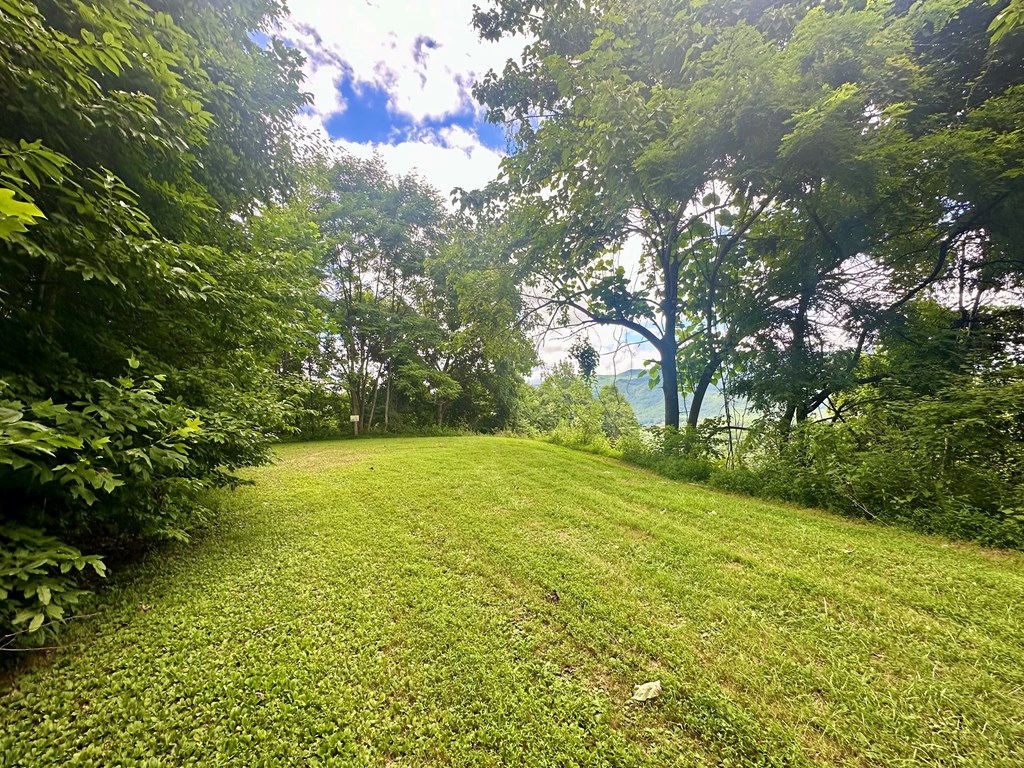 Lot 32 Shiloh Trail, HAYESVILLE, North Carolina image 14