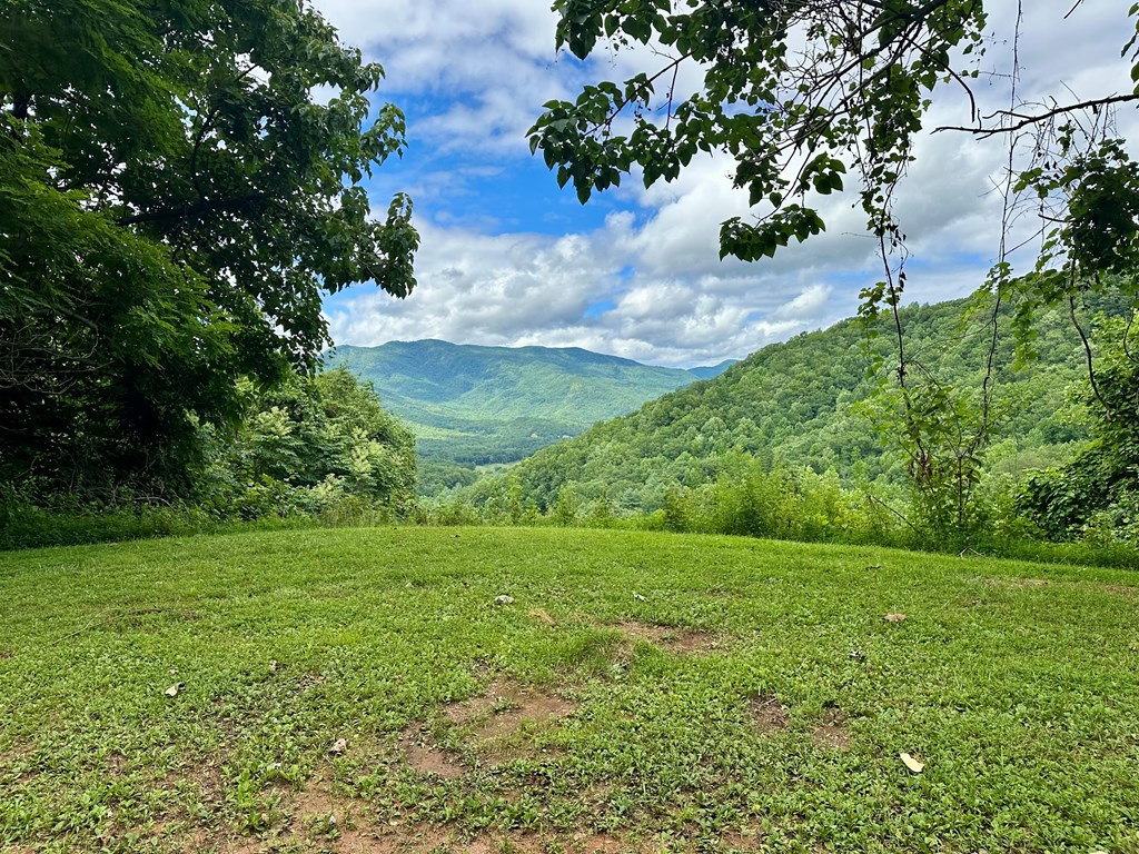 Lot 32 Shiloh Trail, HAYESVILLE, North Carolina image 2