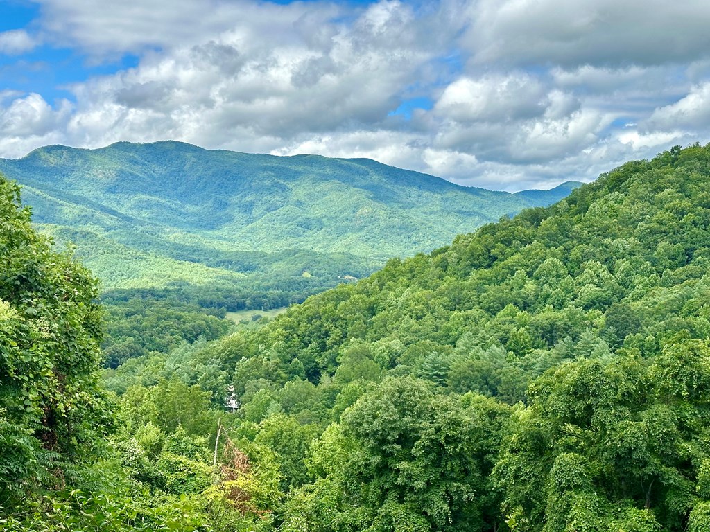 Lot 32 Shiloh Trail, HAYESVILLE, North Carolina image 10