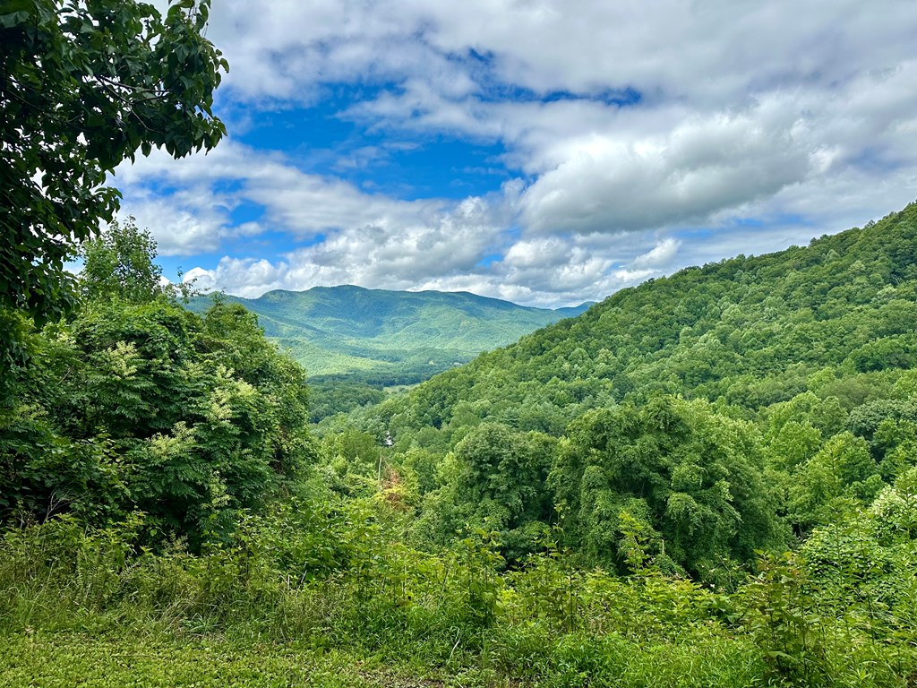 Lot 32 Shiloh Trail, HAYESVILLE, North Carolina image 6