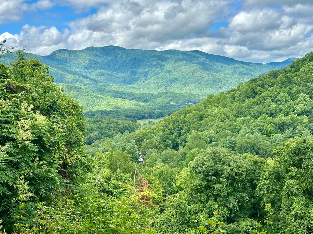 Lot 32 Shiloh Trail, HAYESVILLE, North Carolina image 9