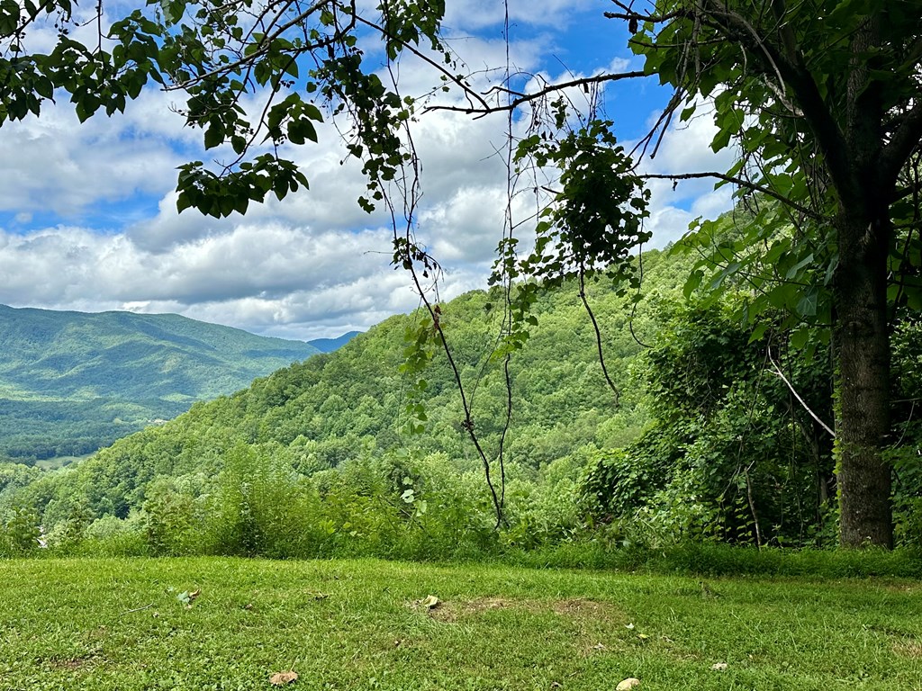 Lot 32 Shiloh Trail, HAYESVILLE, North Carolina image 8