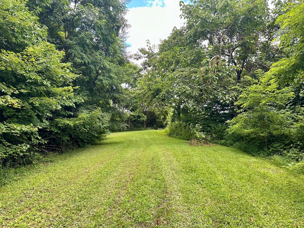 Lot 32 Shiloh Trail, HAYESVILLE, North Carolina image 12