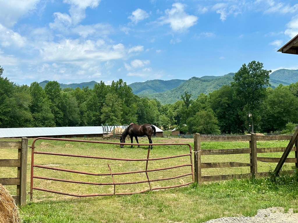 Lot 32 Shiloh Trail, HAYESVILLE, North Carolina image 19