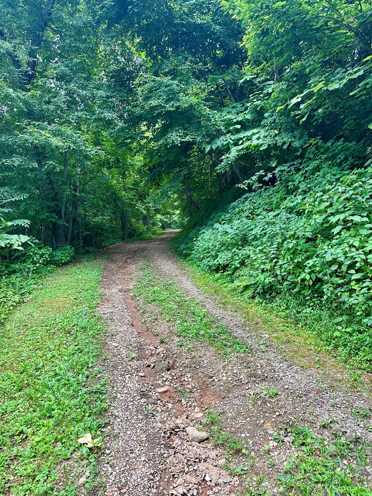 Lot 32 Shiloh Trail, HAYESVILLE, North Carolina image 15