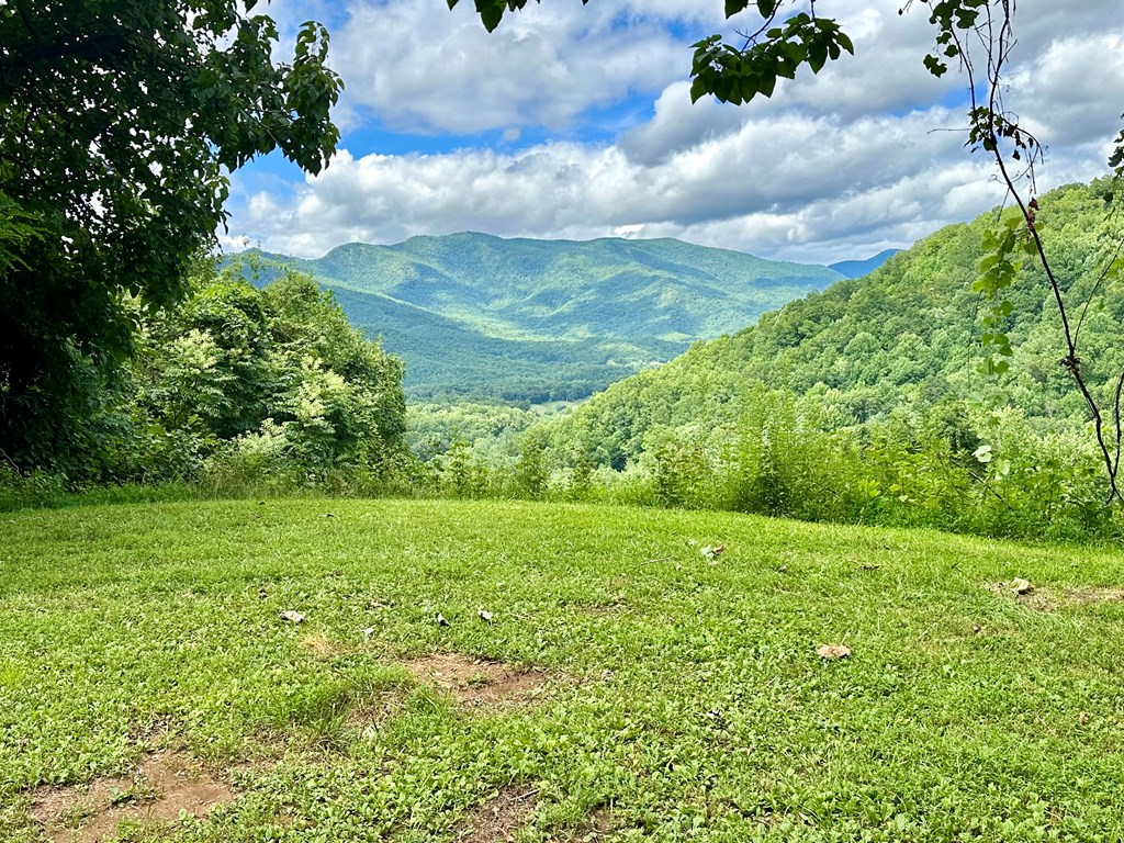 Lot 32 Shiloh Trail, HAYESVILLE, North Carolina image 7