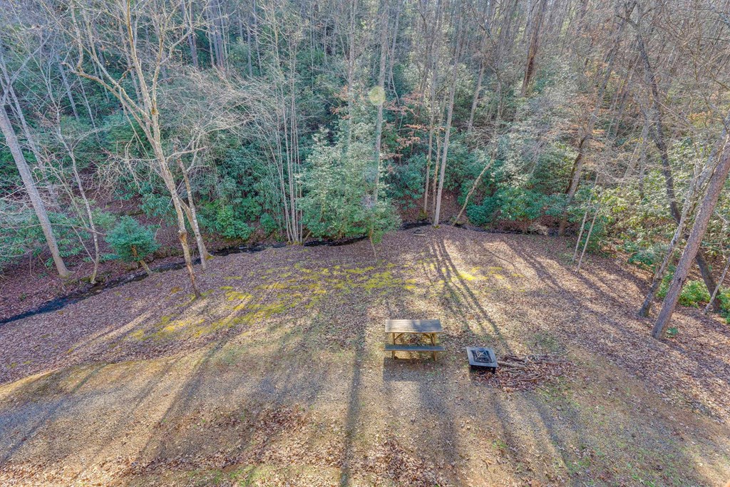 1101 Tarheel Dr, MURPHY, New York image 37