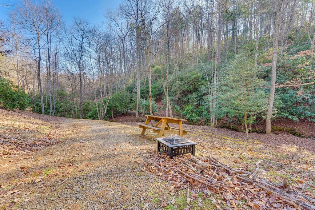 1101 Tarheel Dr, MURPHY, New York image 38