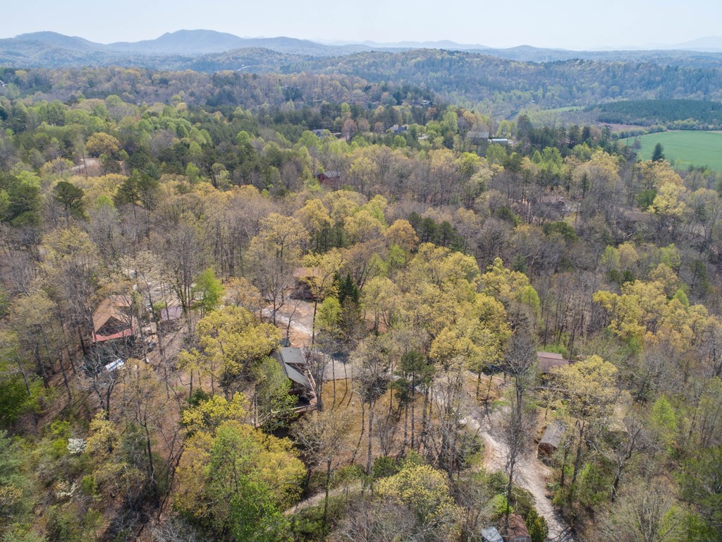 1595 Country Walk, MURPHY, North Carolina image 47