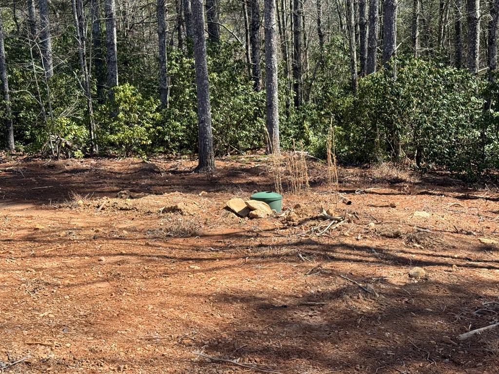 3530 Grape Creek Road, MURPHY, North Carolina image 38