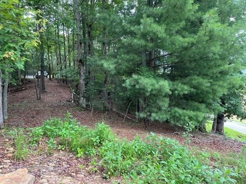 Vacant Land For Sale - 71 Martin Hills Drive #1<br/> MURPHY, NC 28906