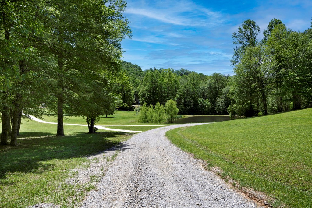 910 Sawyer Cove Rd, HAYESVILLE, North Carolina image 3