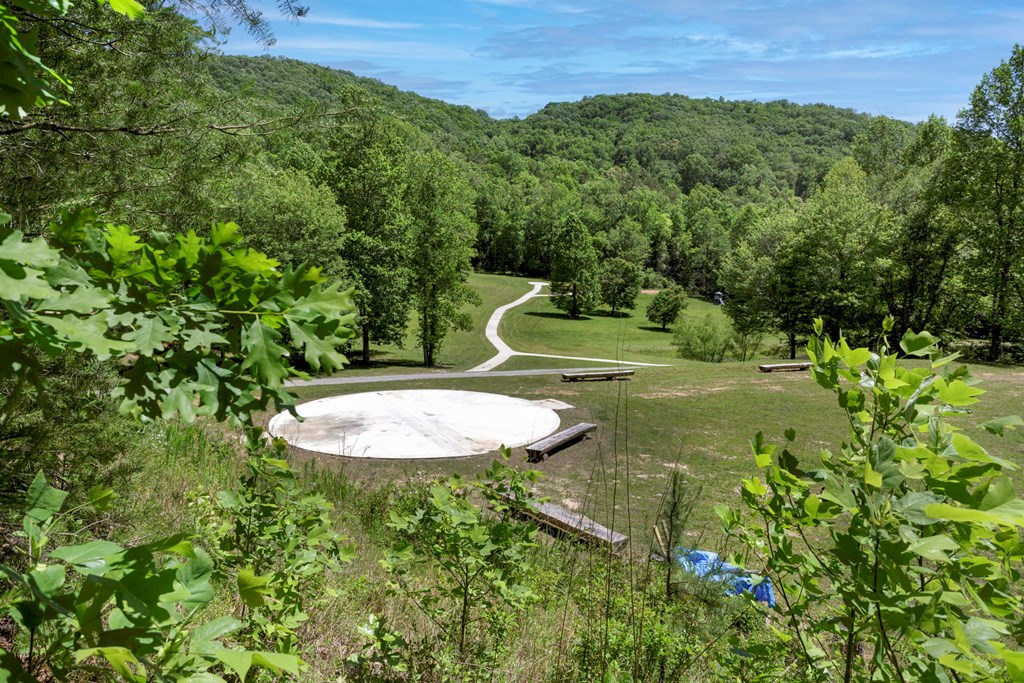 910 Sawyer Cove Rd, HAYESVILLE, North Carolina image 4