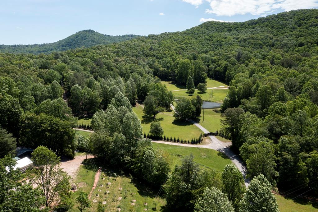 910 Sawyer Cove Rd, HAYESVILLE, North Carolina image 1