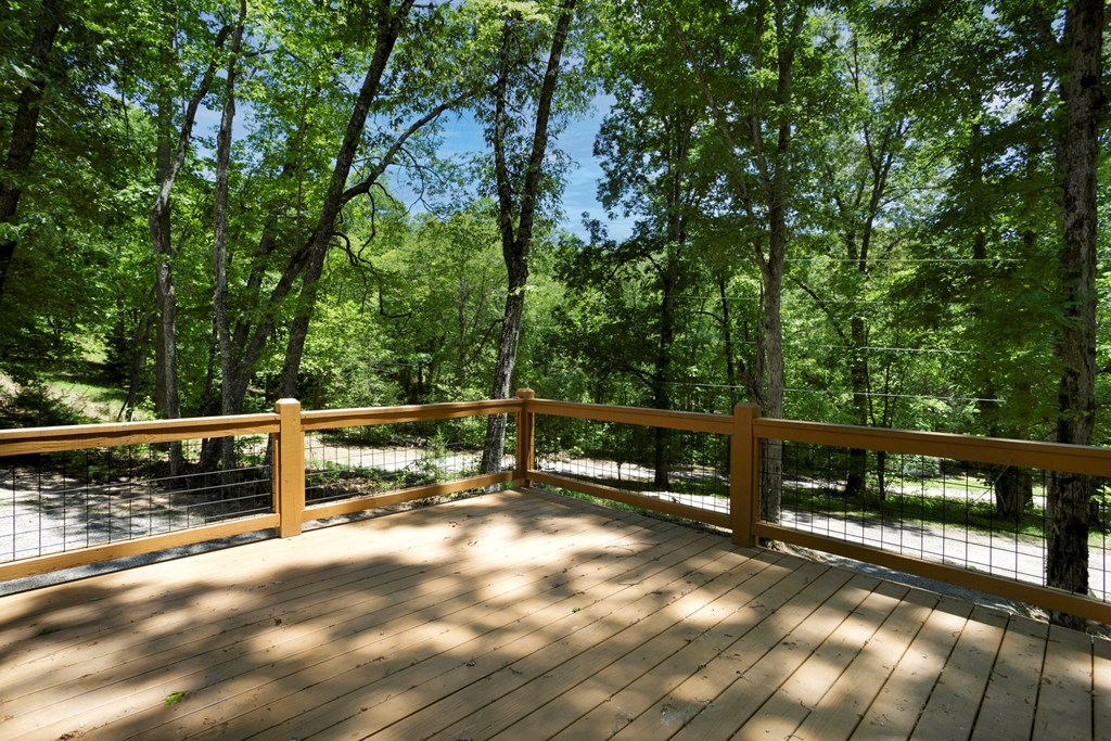910 Sawyer Cove Rd, HAYESVILLE, North Carolina image 19