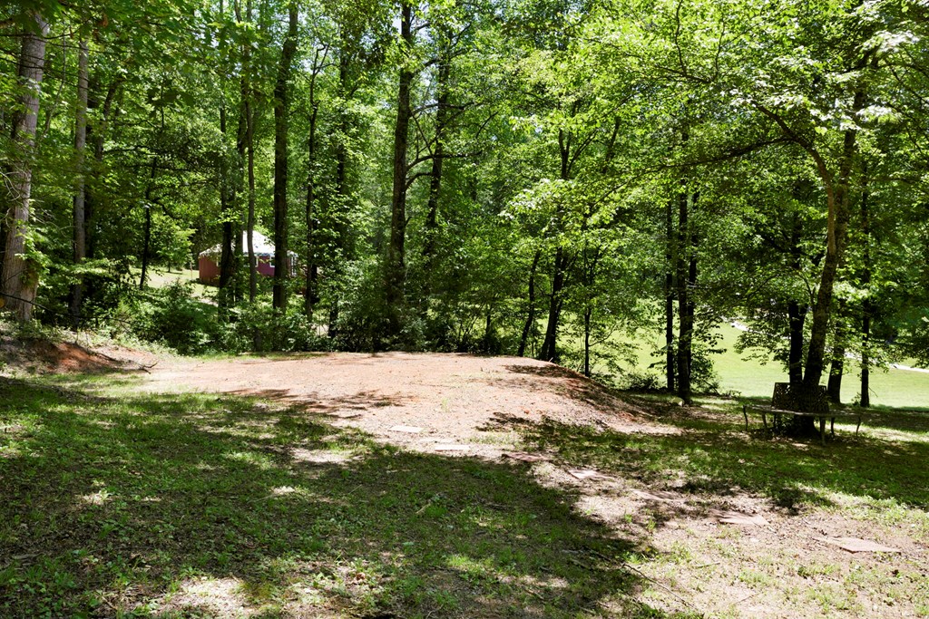 910 Sawyer Cove Rd, HAYESVILLE, North Carolina image 28