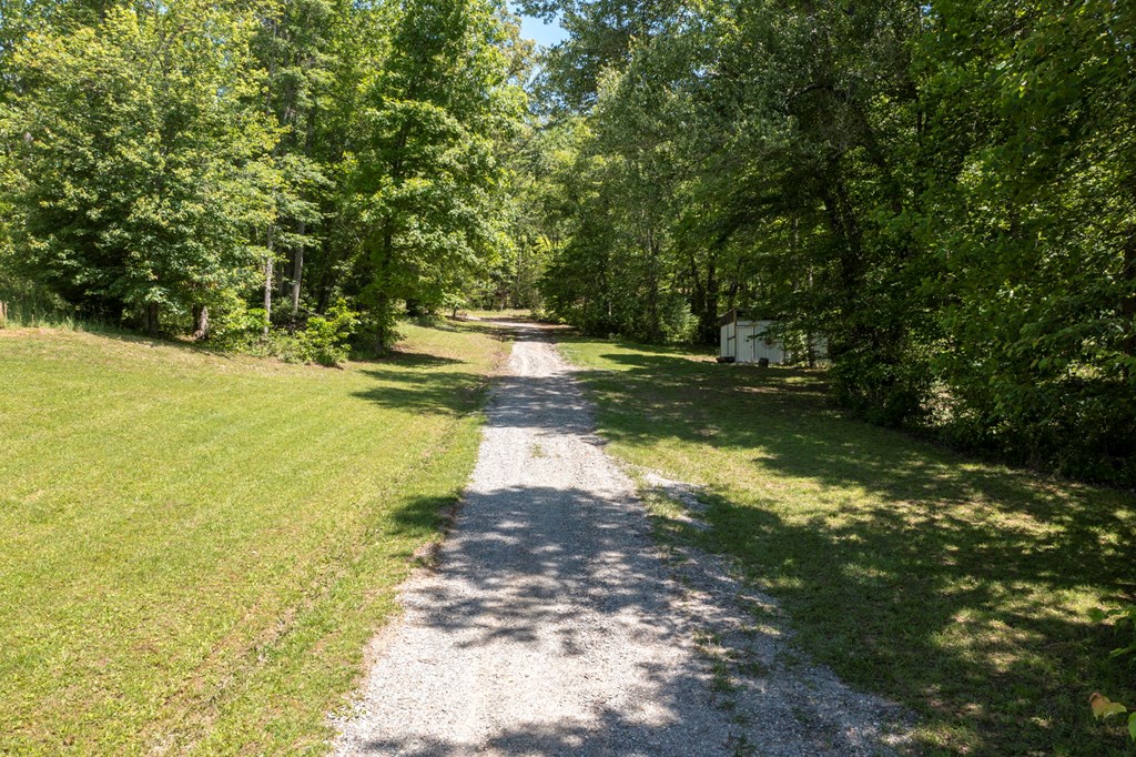 910 Sawyer Cove Rd, HAYESVILLE, North Carolina image 32