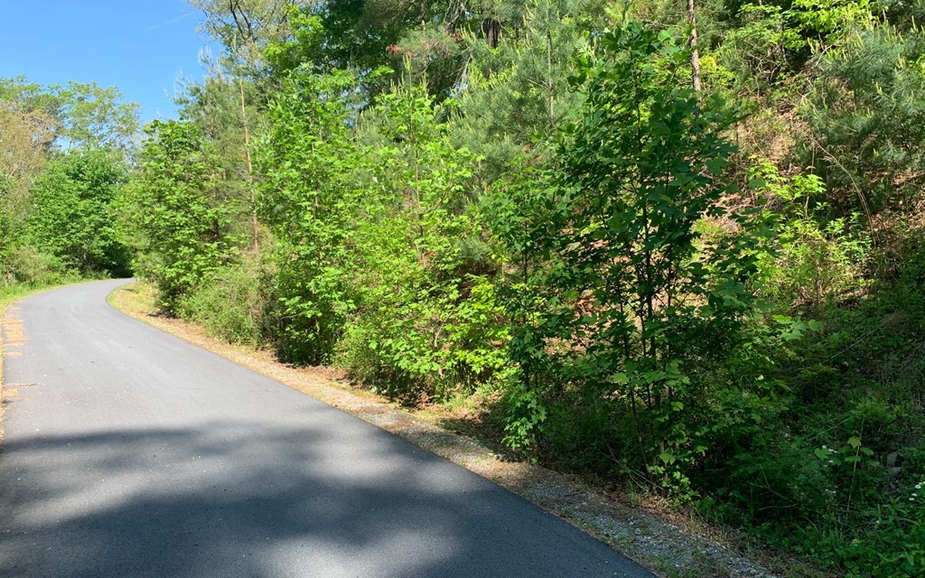 Lot 4A Trillium Heights #4A, HAYESVILLE, North Carolina image 4