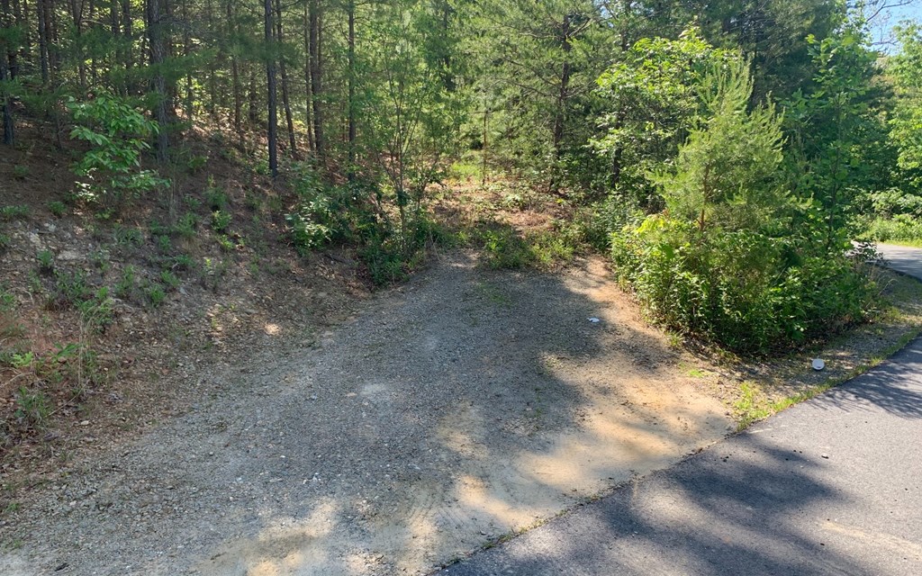 Lot 4A Trillium Heights #4A, HAYESVILLE, North Carolina image 5