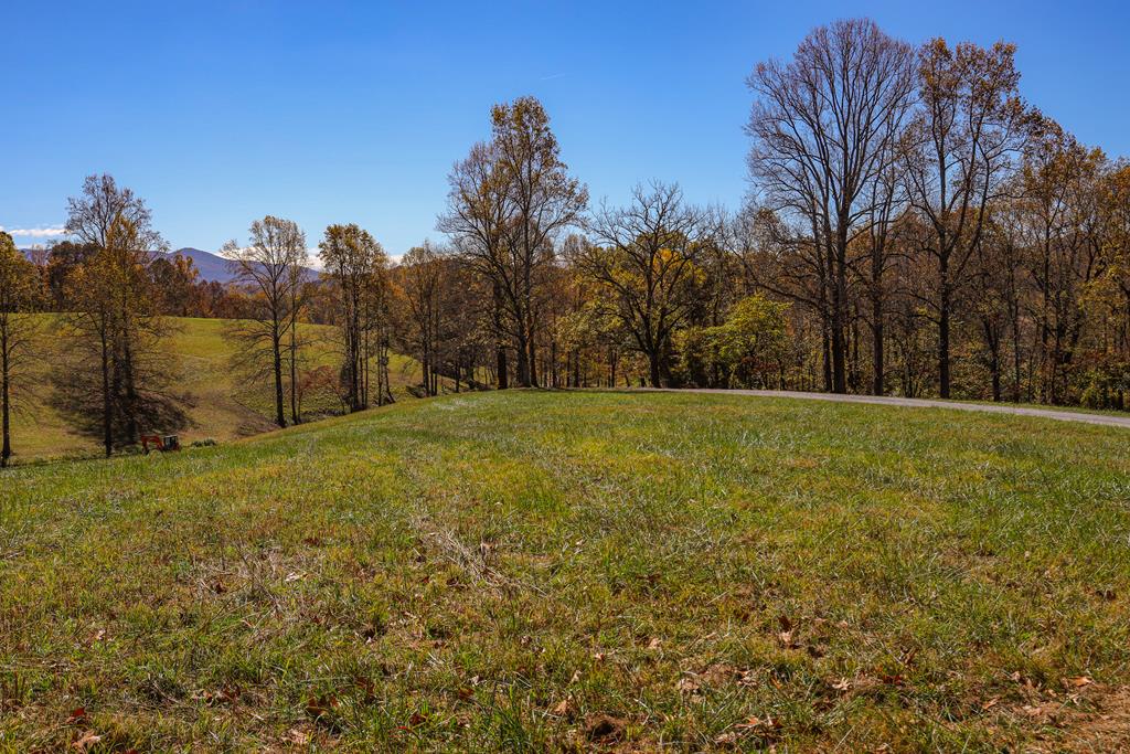 Lot 11 Hinton Overlook, HAYESVILLE, North Carolina image 12