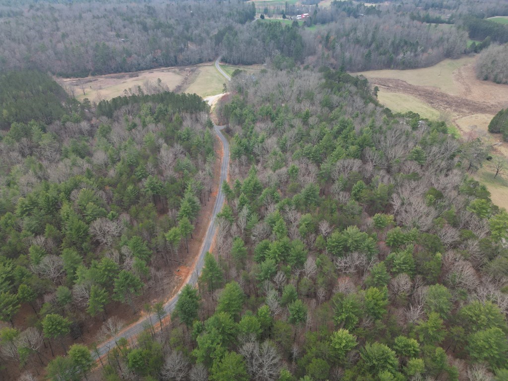 Lot #29 Liberty Road - Photo 3