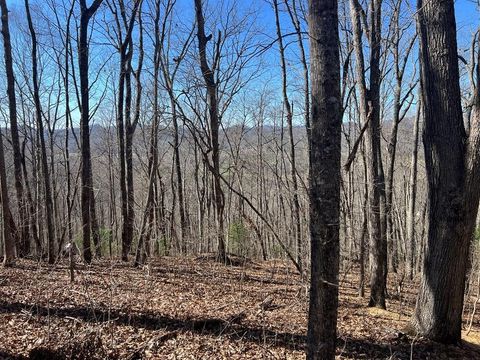 Vacant Land For Sale - LOTS 7&8 Wikle Road #7,8,+<br/> Clay County, HAYESVILLE, NC 28904